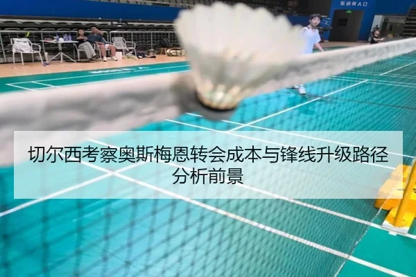 切尔西考察奥斯梅恩转会成本与锋线升级路径分析前景