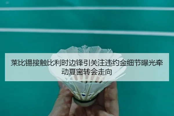 莱比锡接触比利时边锋引关注违约金细节曝光牵动夏窗转会走向